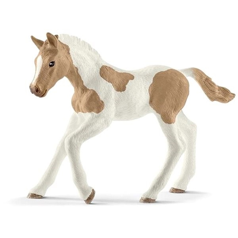 Hříbě paint horse