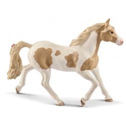 Klisna paint horse